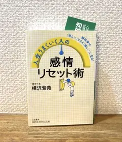 樺沢紫苑