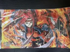 デュエルマスターズ GP1st 邪眼教皇ロマノフⅡ世プレイマット 未開封品