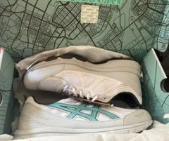 28.5 Hidden NY Asics Gel-Venture 6のサムネイル