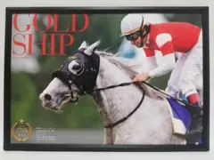 競馬.ゴールドシップ.パネル.愛すべきスターホースたち