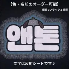 オーダーネームボード RIIZE アントン 反射シート ネムボ ハングル