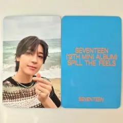 SPILL THE FEELS ウォヌ トレカ SHOPEE