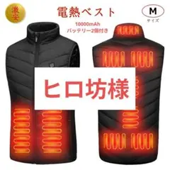 電熱ベスト 加熱ベスト 9箇所 ヒーターベスト 速暖 電熱ウェア 防寒服M
