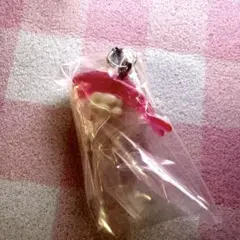 未開封 シャリタツ めじるしアクセサリー ポケモンセンター限定