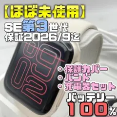 【ほぼ未使用】セルラー BT100％ SE2 保護カバー＋バンド＋充電器セット 美品】BT100％ セルラー 46mm シリーズ10 カバー＋バンド＋充電器