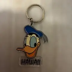 ディズニー　ハワイ　ビンテージ　ドナルド　ディズニー　レア