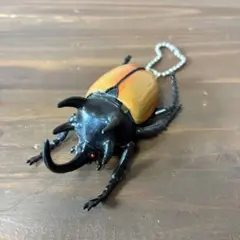 ゴホンツノカブト　甲虫　キーホルダー　リアル　タカラトミーのサムネイル