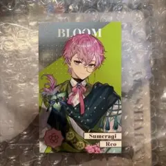 Item thumbnail for item eb301874-bb82-4927-bad6-e686f4dfc284