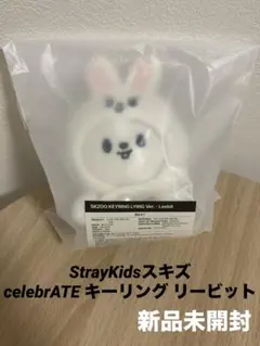 Straykids celebrATE popup キーリング リービット - メルカリ