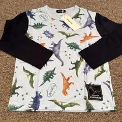 klädskap 恐竜 長袖　ロンT 120
