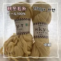 Item thumbnail for item 5d22f538-0218-4e46-bb42-4c765c609280