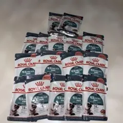 Item thumbnail for item 2275746a-0e3f-4d7c-963e-737504a7c8f3