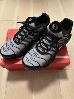 【美品】NIKEエアマックスプラス29㎝
