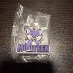 Miniteen ぷっくりめじるしアクセサリー FOXDUNGEE ウォヌ