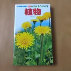 Ａ---Ｚ様 リクエスト 3点 まとめ商品