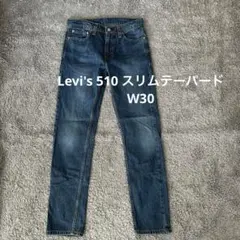 【H75】Levi's 510 スリムテーパードW30リーバイスジーンズ
