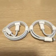 純正新品未使用iPhoneLightning to USB-Cケーブル 1m