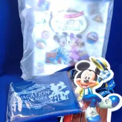 ディズニー　バケーションパッケージ　ポップコーンケース等まとめ売り