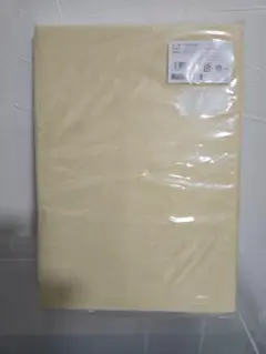 トゥルースリーパー　低反発マットレス　専用内カバー　Wダブルサイズ