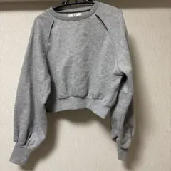 グレートレーナー