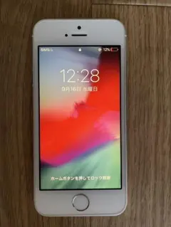 Apple iPhone5s