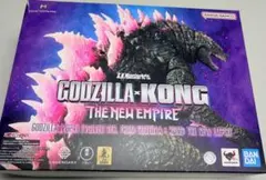 S.H.MonsterArts GODZILLA (2024) EVOLVED