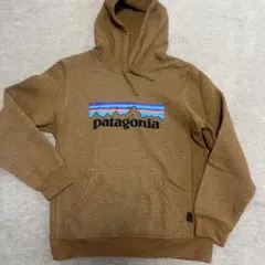 patagonia メンズブラウン パーカー XS