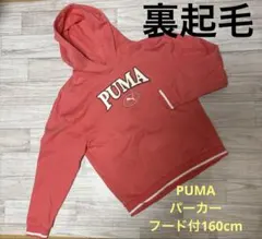 PUMA パーカー フード付 160cm ピンク　裏起毛