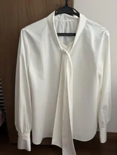 Item thumbnail for item 1f20bfe2-c3c6-4f14-a734-3a85a00b6c7c