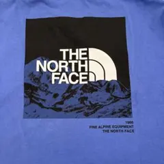 THE NORTH FACE ロングスリーブ Tシャツ M ブルー