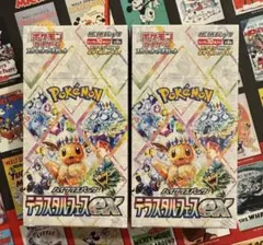 新品未開封 シュリンク付 テラスタルフェスex 2パックセット