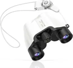 Item thumbnail for item 98eb8436-a095-4b7c-8692-437e43f1aede