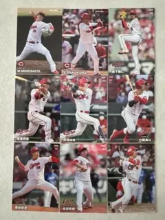 プロ野球チップス《広島東洋カープ》① 2023/24（9枚組）