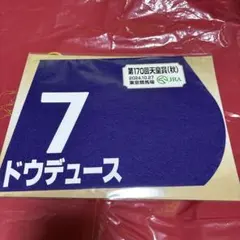 2026年最新】ドウデュース ミニゼッケンの人気アイテム - メルカリ