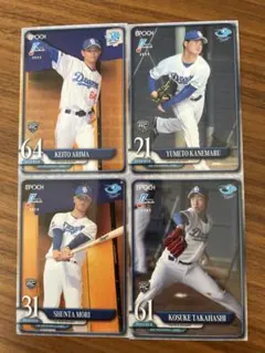 Item thumbnail for item dc0673f6-f0c8-4ebd-9280-2e7e7ac44065