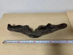 Item thumbnail for item ce9fbbe3-1d3b-4ee5-9074-336733b54544