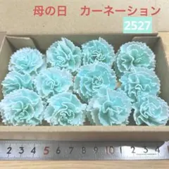 ソラフラワー　2527