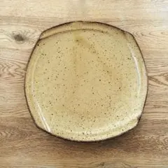 美濃焼 大皿 和モダン 粉引