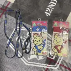 うさぎ　リード　お散歩のサムネイル