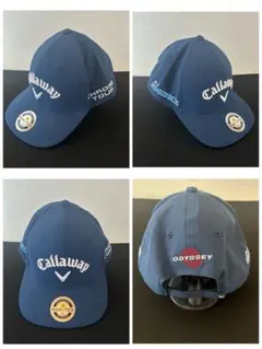 Item thumbnail for item 3340dc84-d4a5-40be-85b1-dd36bbfecf35