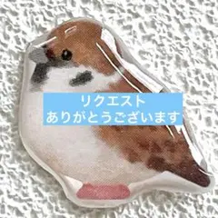 チーこ様 リクエスト 3点 まとめ商品