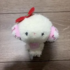 こぎみゅん