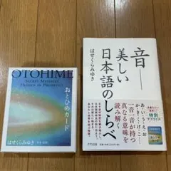 おもちさん専用】星みつる式DVD、言語訓練・全28巻、絵カード学習・全
