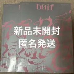 StrayKids スキズ DO IT ITver doit 2枚