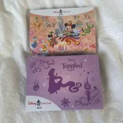 ディズニーJCBカードクラブ 2024・2025 ピンバッジ