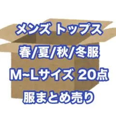 メンズ トップス M~Lサイズ まとめ売り 20点入り