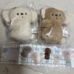 にこやまポッケ おすわりコアラのぬいぐるみ ガチャ 2点セット カプセルトイ