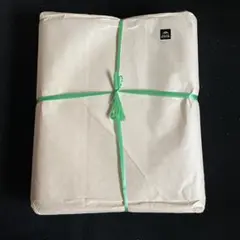 Item thumbnail for item 9e2a02b3-fb59-43b9-a0f9-250d7fe7199a