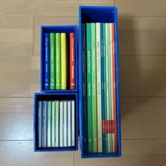ワールドファミリー　DWE 英語　ディズニー英語システム　シングアロング DVD