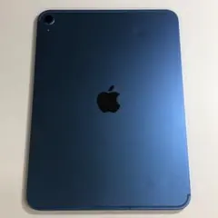 ジャンク品】Apple iPad A16 第11世代 256GB セルラー - メルカリ